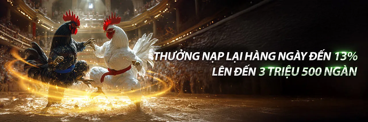 Hình ảnh đá gà Thomo C3 22 10 sôi động